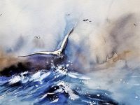 Seabird Image by Martina Bulková from Pixabay