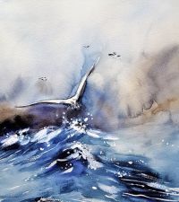 Seabird Image by Martina Bulková from Pixabay