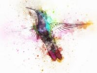 Hummingbird Image by JL G from Pixabay