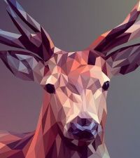 Deer Image by Денис Марчук from Pixabay