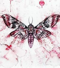 Red Moth Image by Nika Akin from Pixabay