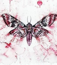 Red Moth Image by Nika Akin from Pixabay