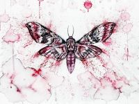 Red Moth Image by Nika Akin from Pixabay