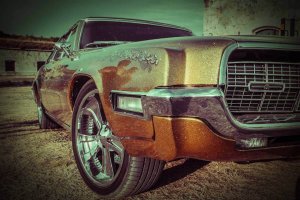 Muscle Car Muscle Car ALT