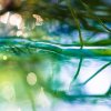 macro shot of water