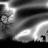 Tree by Costelbcc