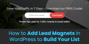 How to Add Lead Magnets in WordPress to Build Your List How to Add Lead Magnets in WordPress to Build Your List