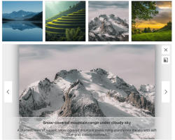Grid PRO Grid PRO Gallery layout