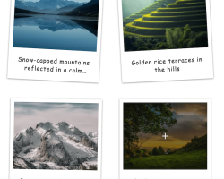 Polaroid PRO Polaroid PRO Gallery layout