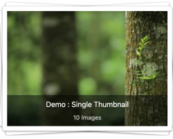 Single Thumbnail Single thumbnail gallery layout