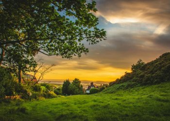 Golden sunset over a grassy countryside Countryside sunset with trees and fields
