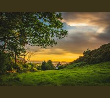 Golden sunset over a grassy countryside Countryside sunset with trees and fields