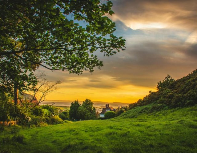 Golden sunset over a grassy countryside Countryside sunset with trees and fields