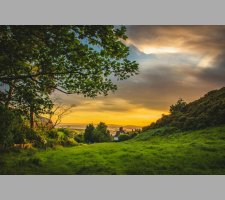 Golden sunset over a grassy countryside Countryside sunset with trees and fields