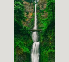 Tall waterfall with bridge above Tall waterfall and bridge in green forest