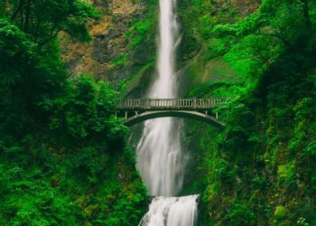 Tall waterfall with bridge above Tall waterfall and bridge in green forest