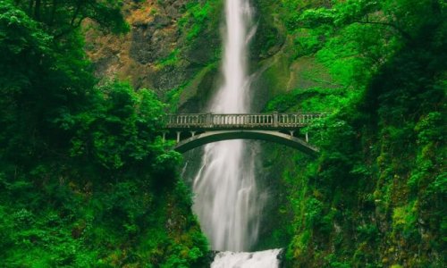 Tall waterfall with bridge above Tall waterfall and bridge in green forest