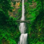 Tall waterfall with bridge above Tall waterfall and bridge in green forest