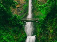 Tall waterfall with bridge above Tall waterfall and bridge in green forest