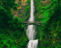 Tall waterfall with bridge above Tall waterfall and bridge in green forest
