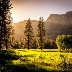 Sunlit meadow with trees and mountains Sunlit meadow with forest and mountains