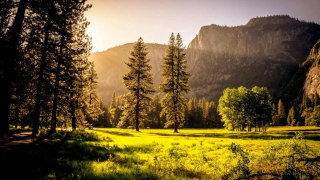 Sunlit meadow with trees and mountains Sunlit meadow with forest and mountains