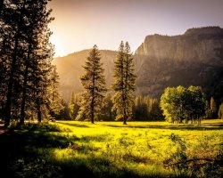 Sunlit meadow with trees and mountains Sunlit meadow with forest and mountains