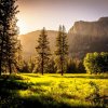 Sunlit meadow with forest and mountains