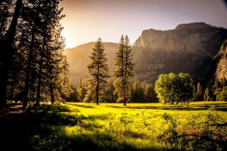 Sunlit meadow with trees and mountains Sunlit meadow with forest and mountains