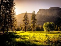 Sunlit meadow with trees and mountains Sunlit meadow with forest and mountains