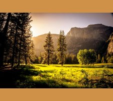 Sunlit meadow with trees and mountains Sunlit meadow with forest and mountains