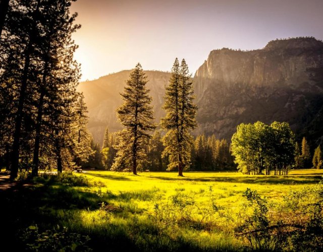Sunlit meadow with trees and mountains Sunlit meadow with forest and mountains