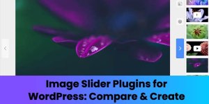 Image Slider Plugins for WordPress: Compare & Create Image Slider Plugins for WordPress: Compare & Create