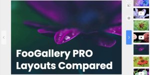 FooGallery PRO Layouts Compared: Grid, Slider, Polaroid, and Spotlight