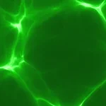 Electric dark green energy with branching light streaks Electric dark green abstract energy with branching light streaks.