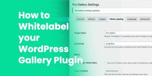 White Label Your WordPress Gallery Plugin: A Deep Dive Into FooGallery Whitelabel